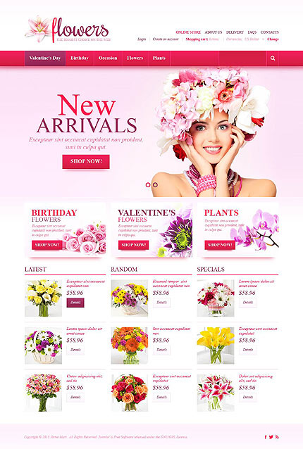 web design